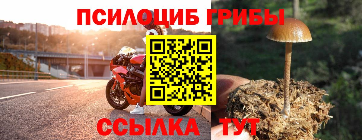 Галлюциногенные грибы ЛСД Гусиноозёрск