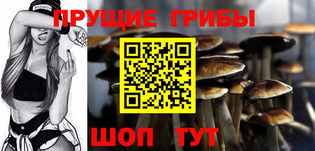 Гусиноозёрск  Галлюциногенные грибы Cubensis  Вход с VPN 